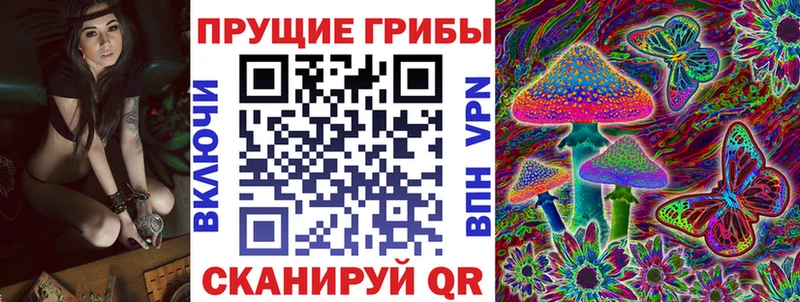 Псилоцибиновые грибы Magic Shrooms  даркнет Telegram  Купино  где купить наркотик 