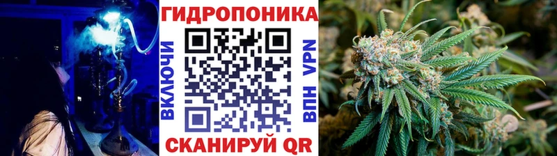 МАРИХУАНА план Купино